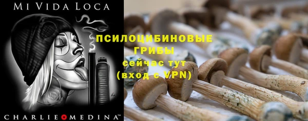 ешки Алексин
